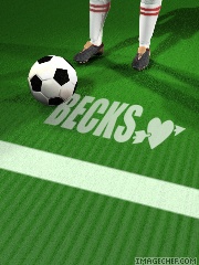 becks...